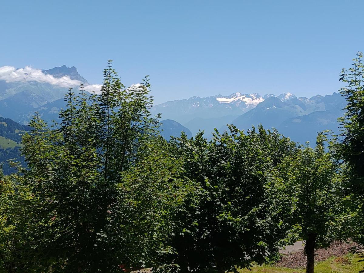 Studio Au Calme, Vue Imprenable Sur La Vallee Apartment Leysin Exterior photo