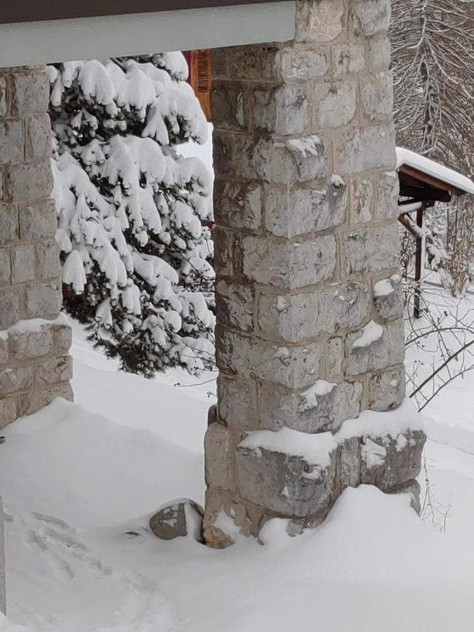 Studio Au Calme, Vue Imprenable Sur La Vallee Apartment Leysin Exterior photo