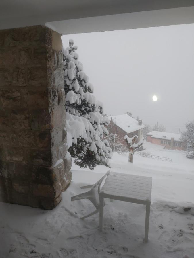 Studio Au Calme, Vue Imprenable Sur La Vallee Apartment Leysin Exterior photo