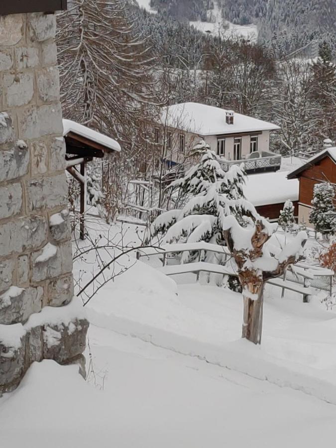 Studio Au Calme, Vue Imprenable Sur La Vallee Apartment Leysin Exterior photo