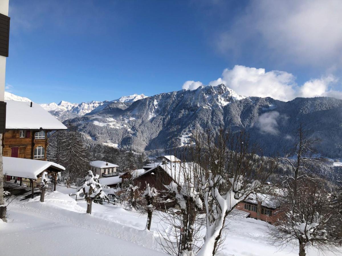 Studio Au Calme, Vue Imprenable Sur La Vallee Apartment Leysin Exterior photo