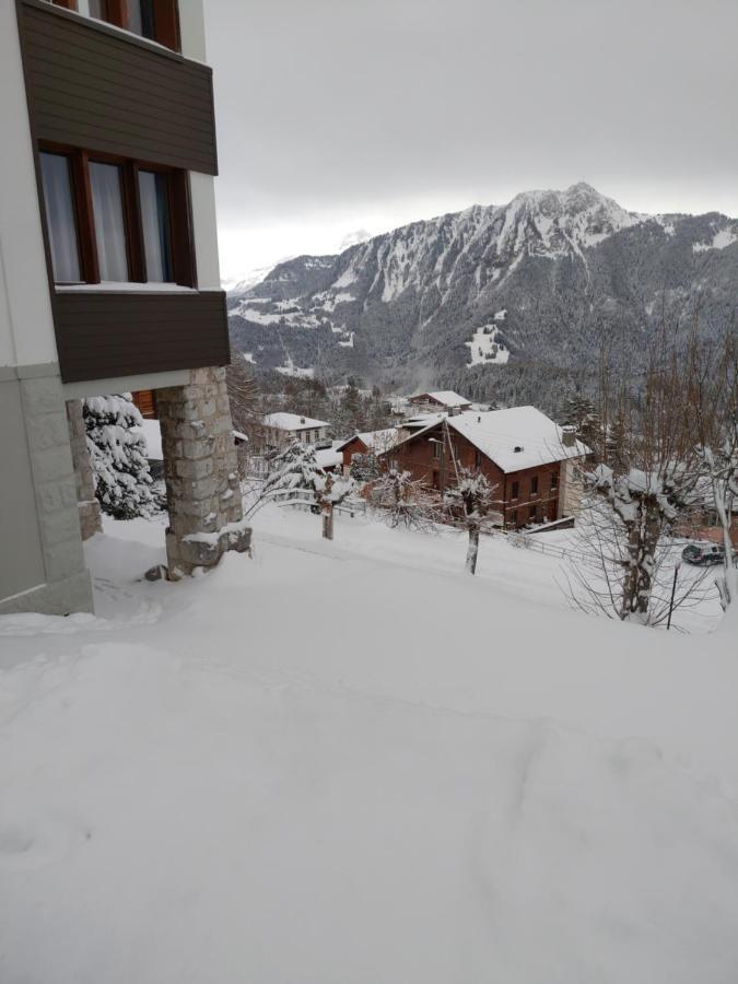 Studio Au Calme, Vue Imprenable Sur La Vallee Apartment Leysin Exterior photo