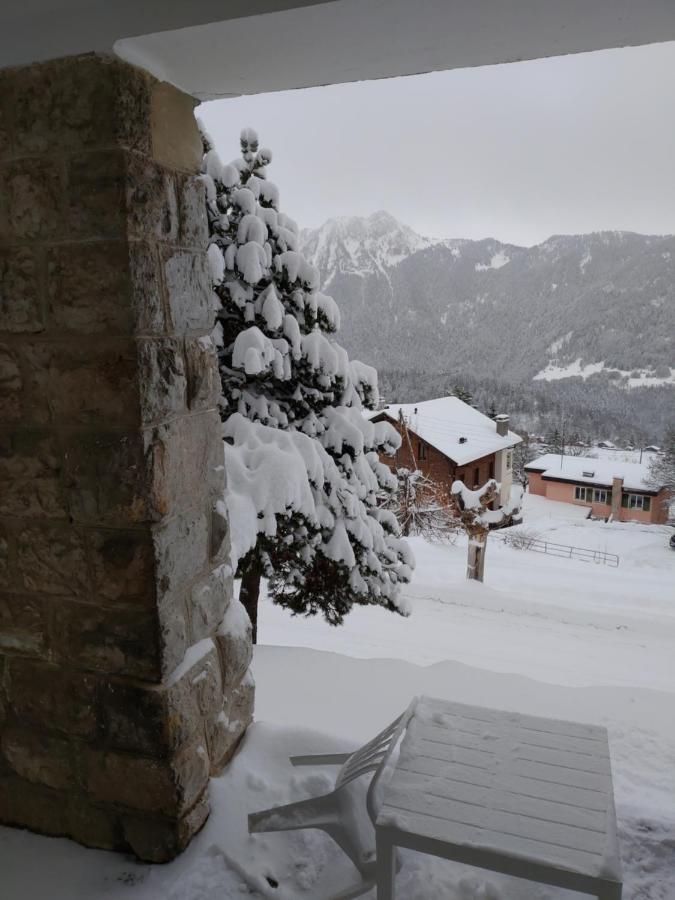 Studio Au Calme, Vue Imprenable Sur La Vallee Apartment Leysin Exterior photo